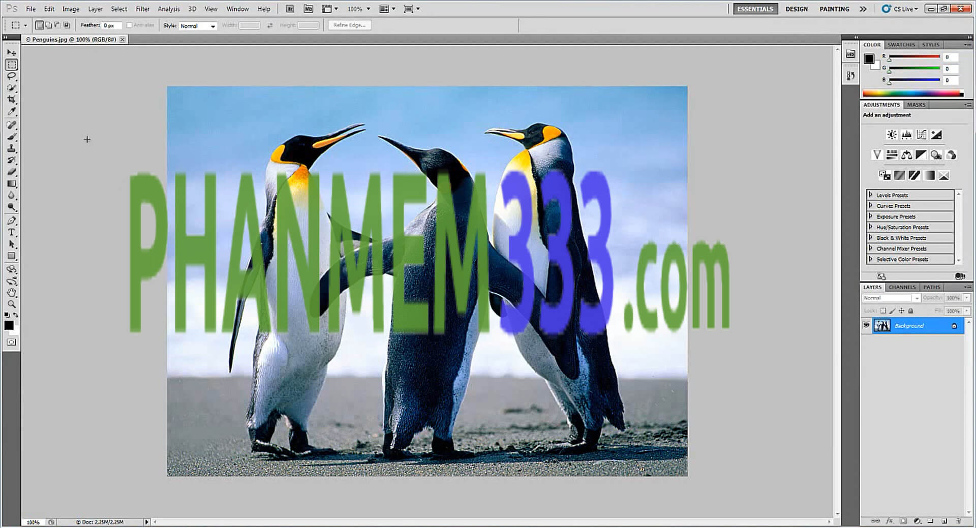 download adobe photoshop cs5 full version google drive